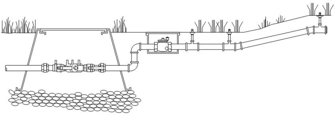 Double Check Valve Assembly installation diagram.